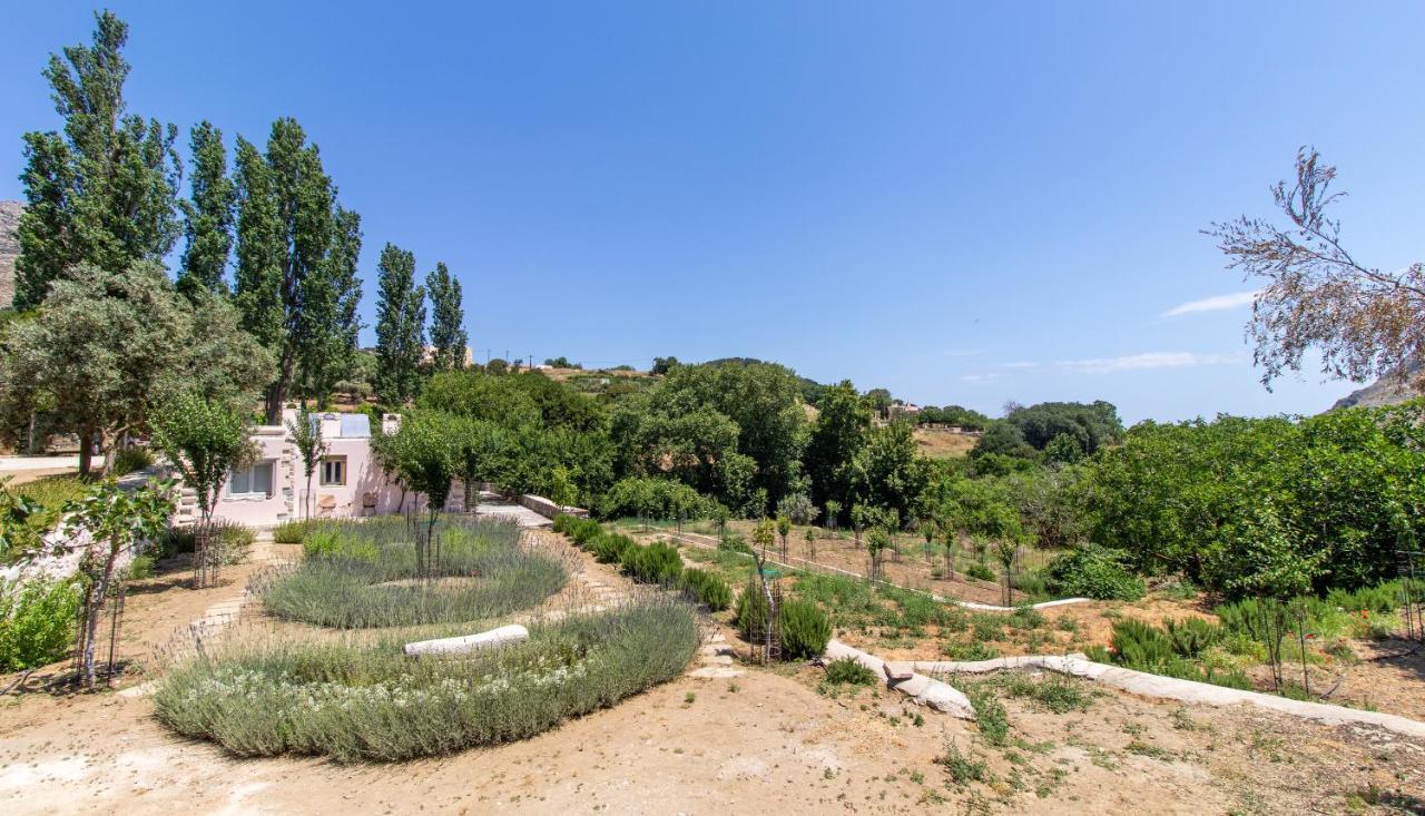Serenity Village Aperathos Bagian luar foto