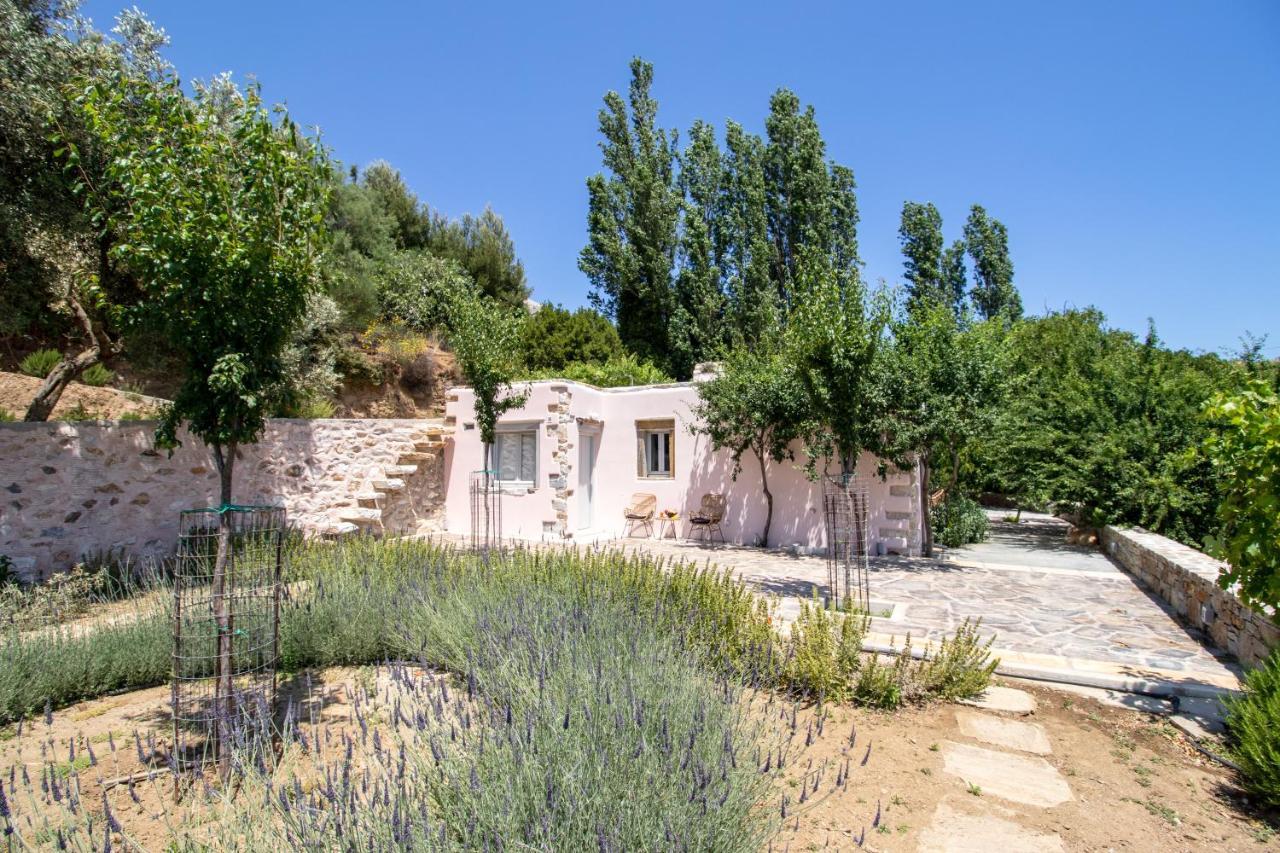 Serenity Village Aperathos Bagian luar foto