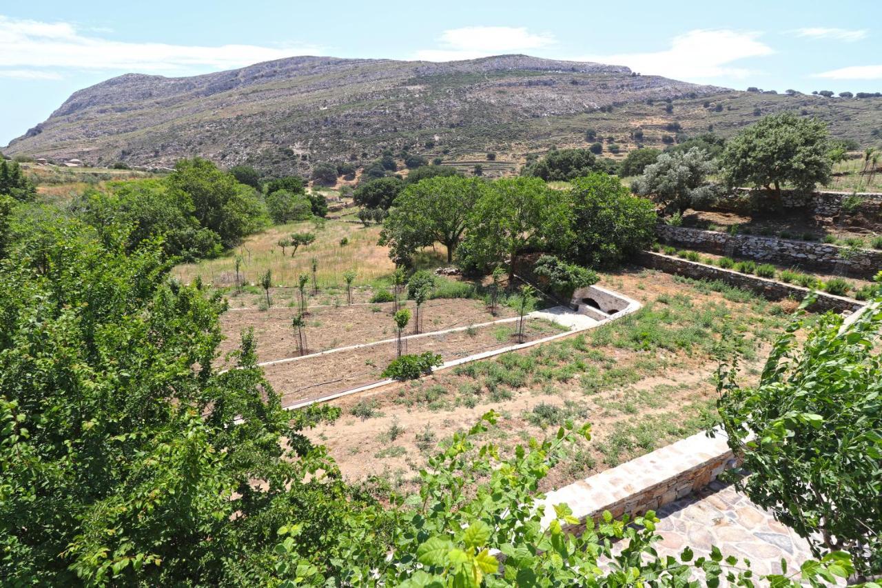Serenity Village Aperathos Bagian luar foto