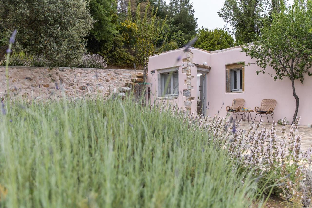 Serenity Village Aperathos Bagian luar foto